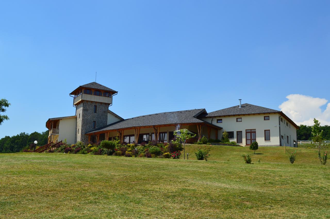 Pensiunea Casa Buna 3* Gîrbova
